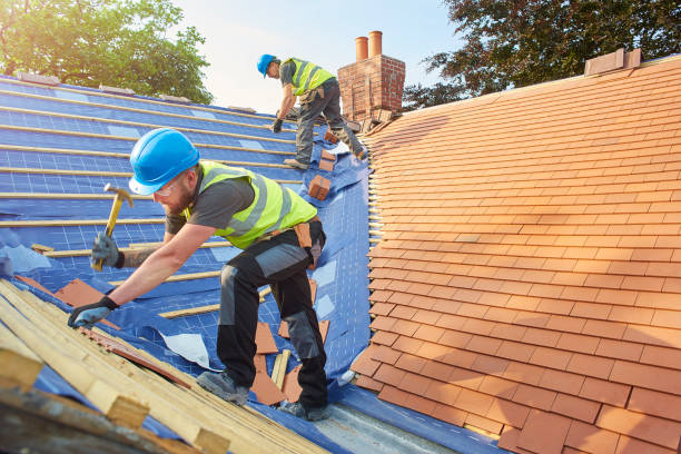Best Metal Roofing Installation  in Gulf Park Estates, MS